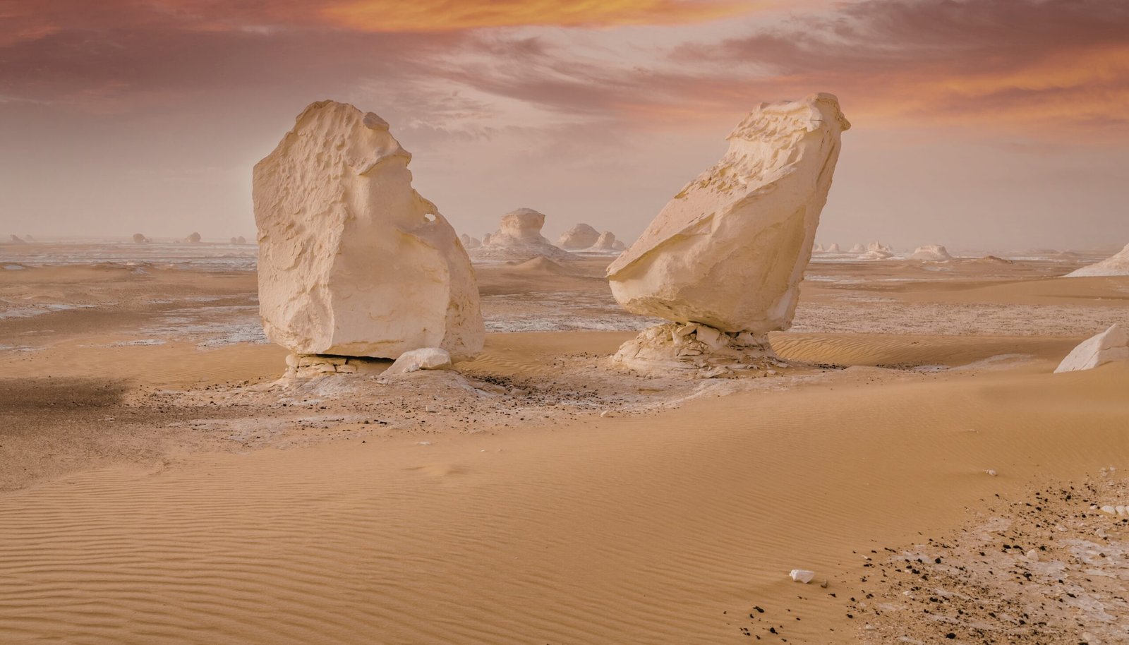 Camel Caravan Sahara Desert Tunisia