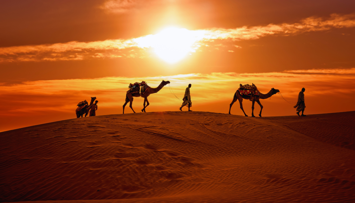 Marrakech weather Sahara desert camels at golden sunset