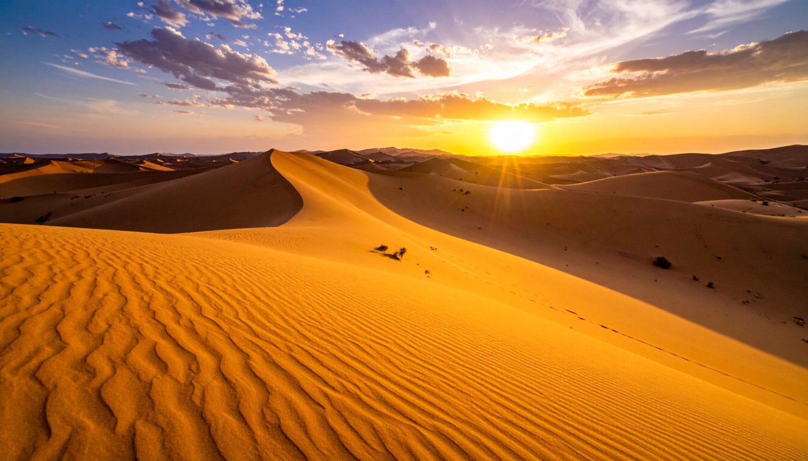 Morocco Sahara Desert Golden Dunes