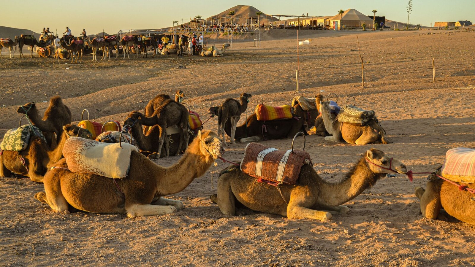 marrakech desert tours: 7 Best Routes and Experiences 1 Rocky Agafay Desert hills and a camp near Marrakech at sunset