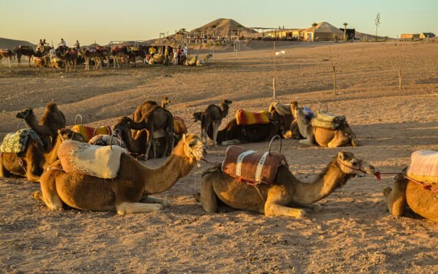 Rocky Agafay Desert hills and a camp near Marrakech at sunset