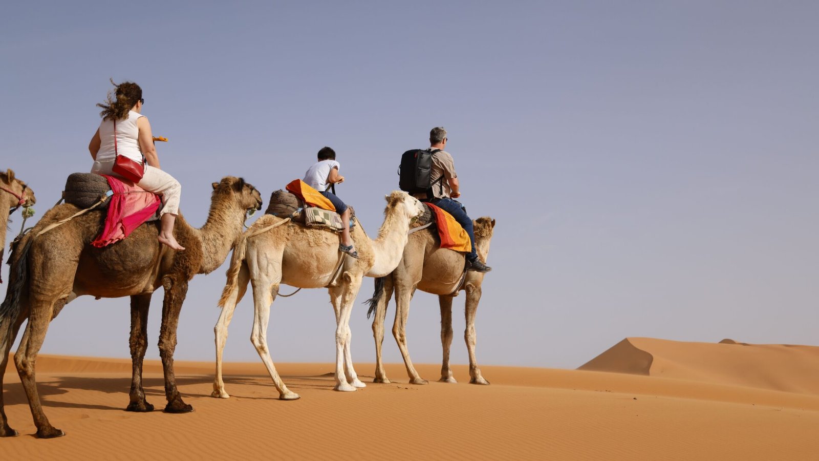 Morocco Desert Tours: 9 Best Options for 2026 1 Morocco desert tours